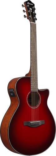 IBANEZ AEG51-TRH фото 4