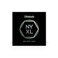 D`ADDARIO NYNW045